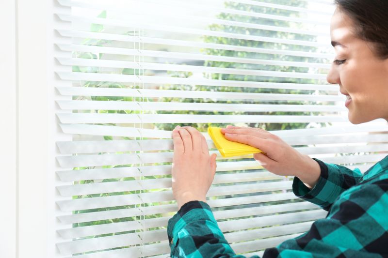 Vertical Blind Cleaning in Boston, MA
