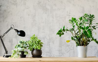 Nursery Wallpaper Installation in Overland Park, KS